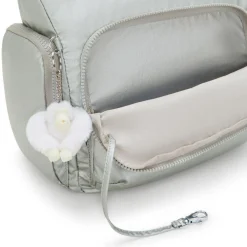 Borse Tracolla Multitasche Metallic Argento