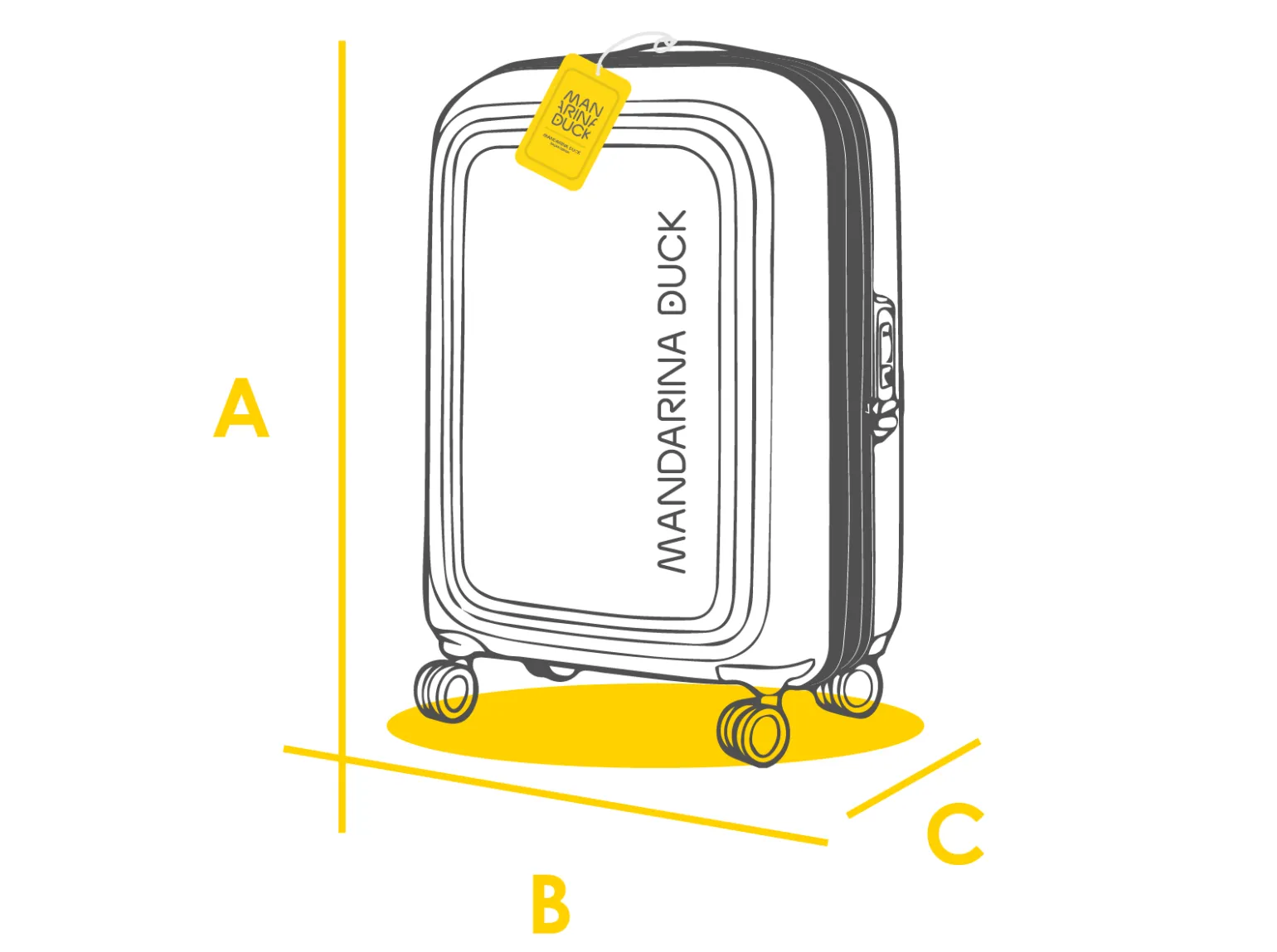 Trolley Espandibile Bagaglio a Mano 4 Ruote